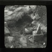 Böhl glass slide 61.3/1817b